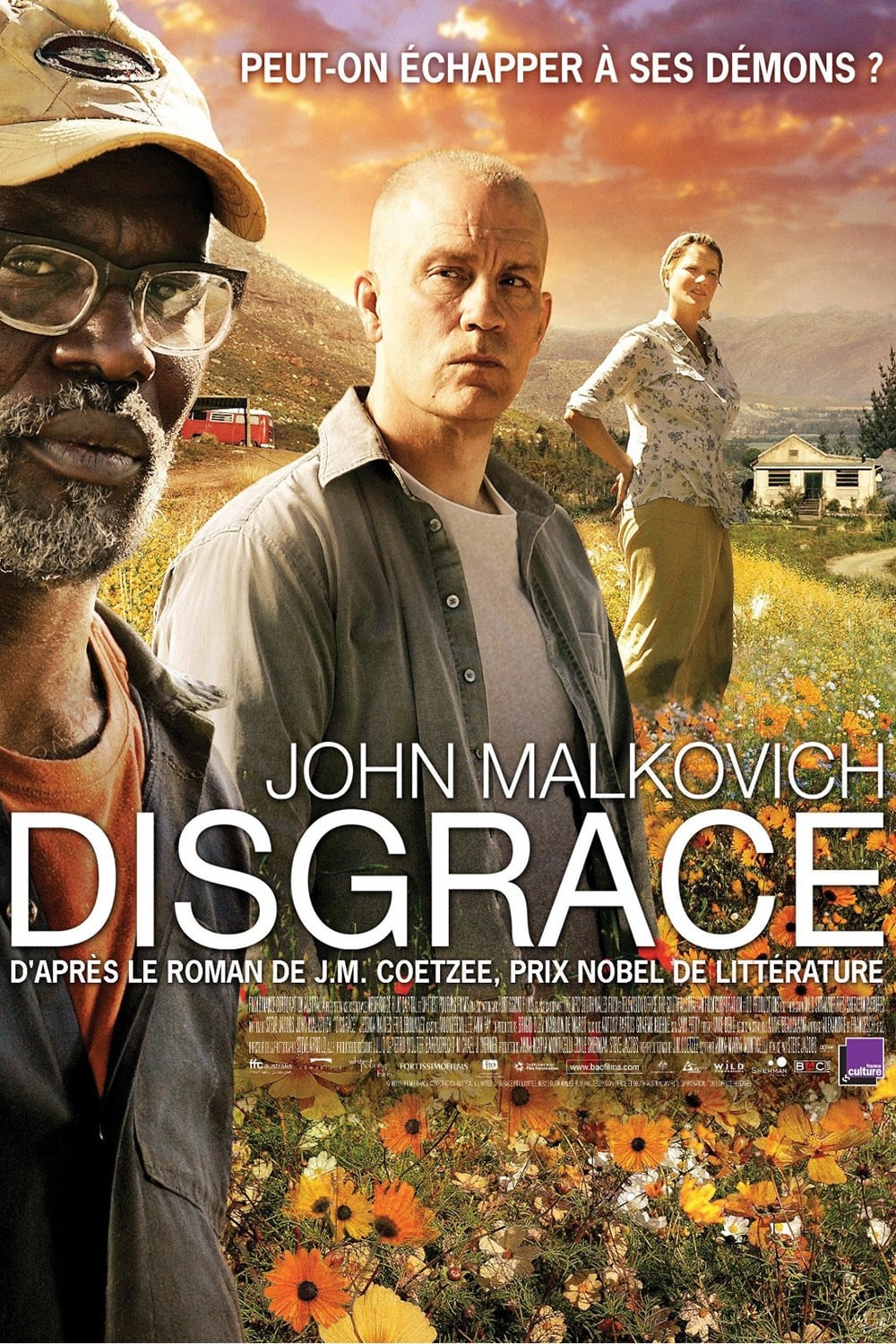 Affiche du film Disgrâce 27149