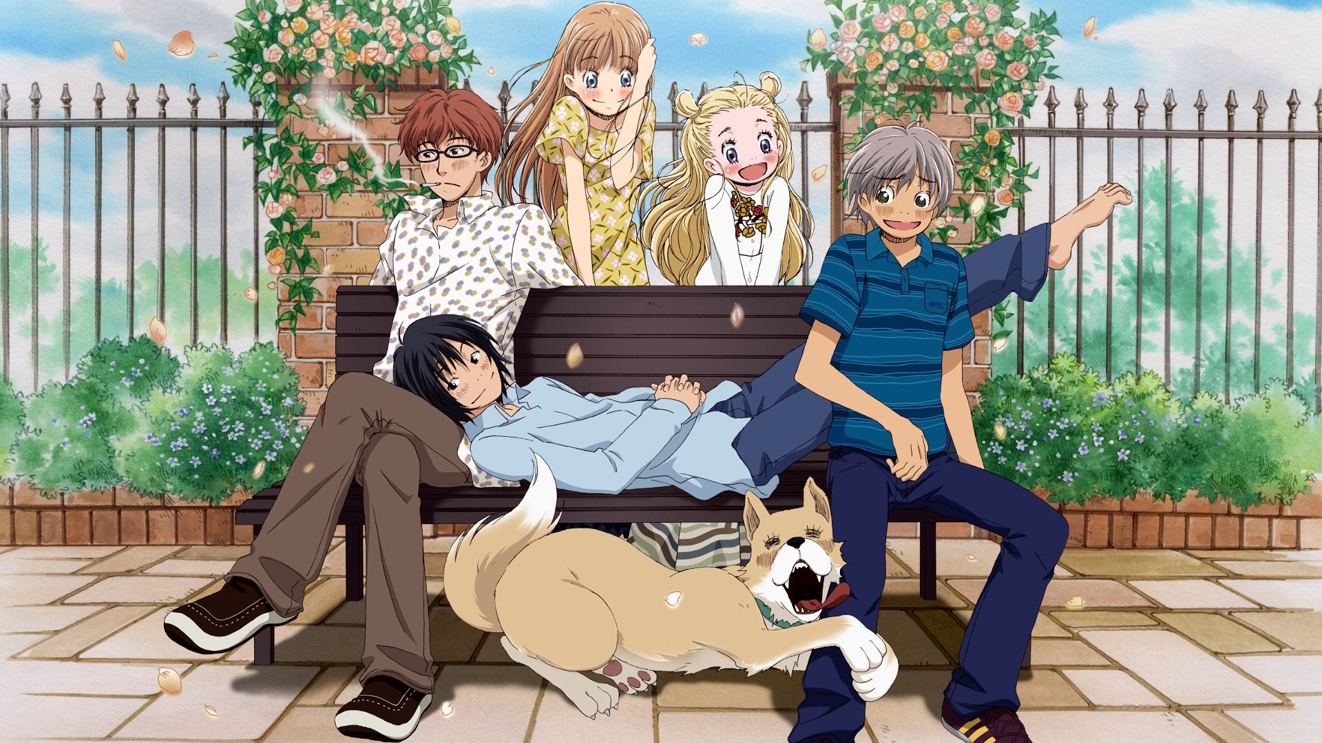 Honey and Clover