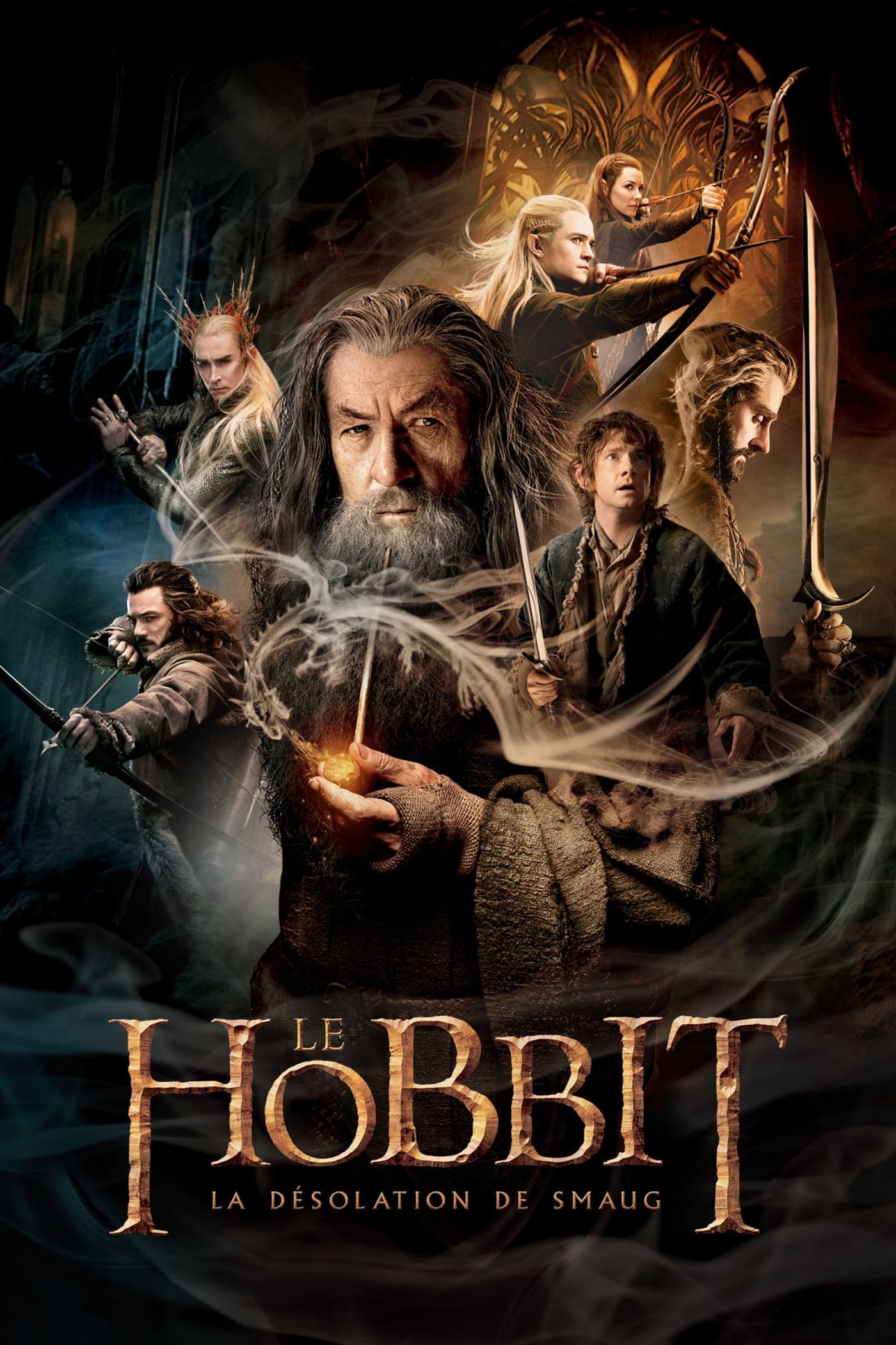 Affiche du film Le Hobbit : la désolation de Smaug (version longue) 167563