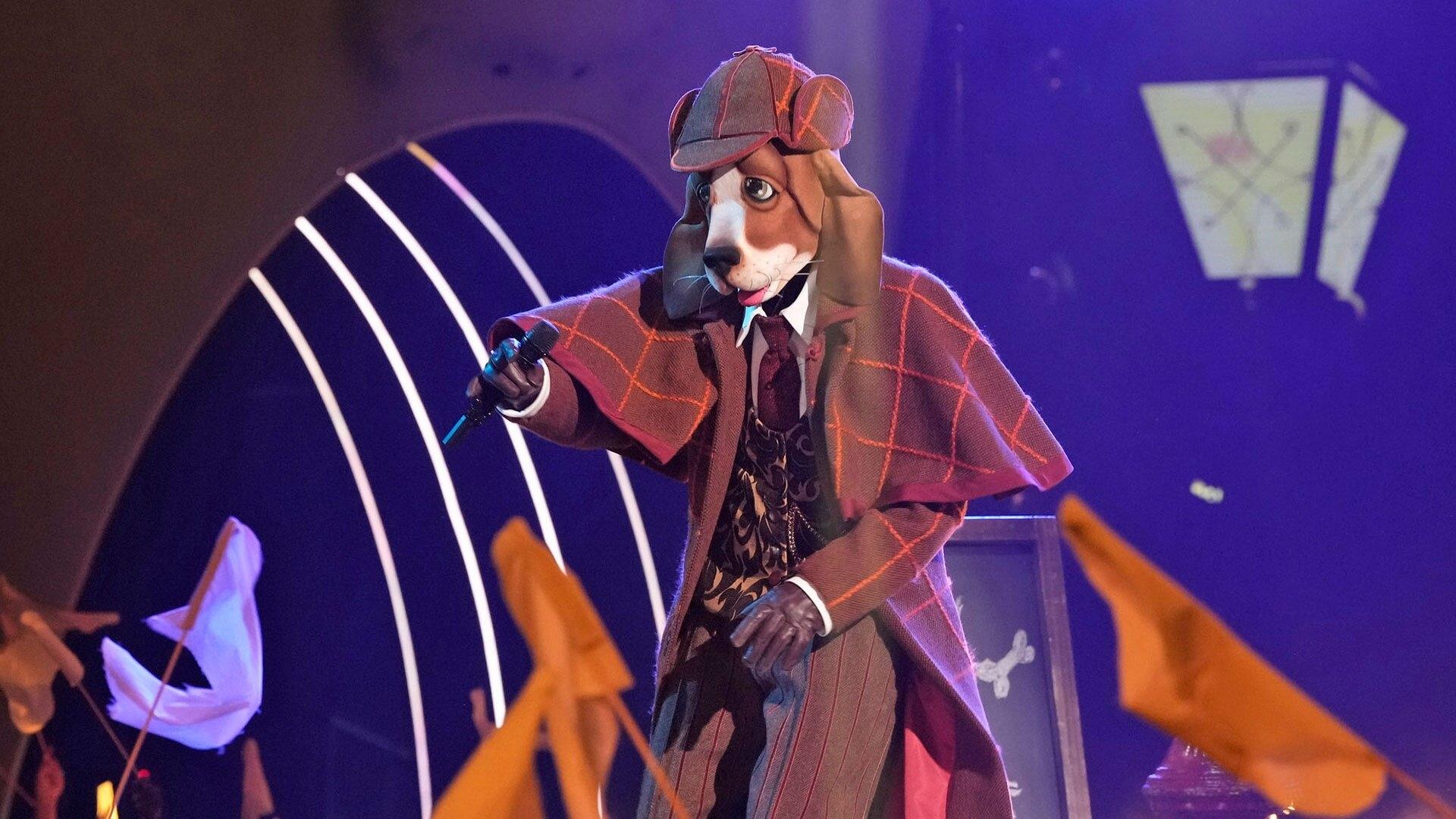 The Masked Singer