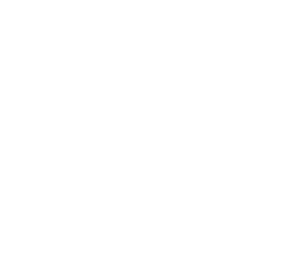 Výběrčí daní