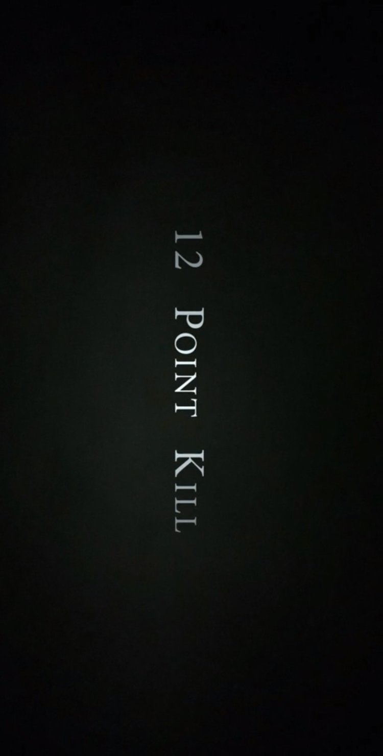 12 Point Kill (N/A) The Poster Database (TPDb)
