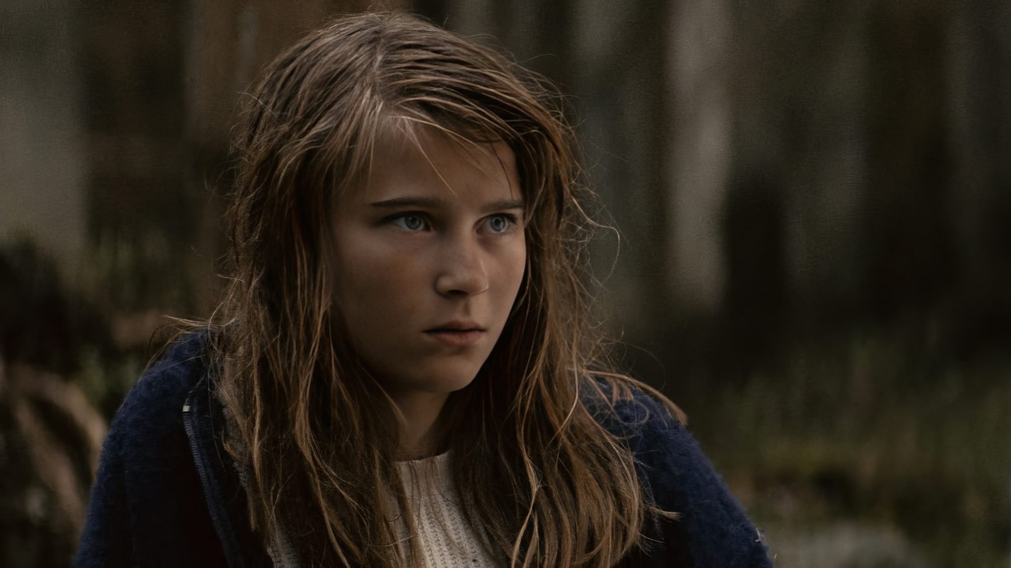 Faro (2013)