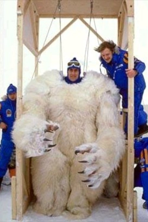 et billede af Des Webb