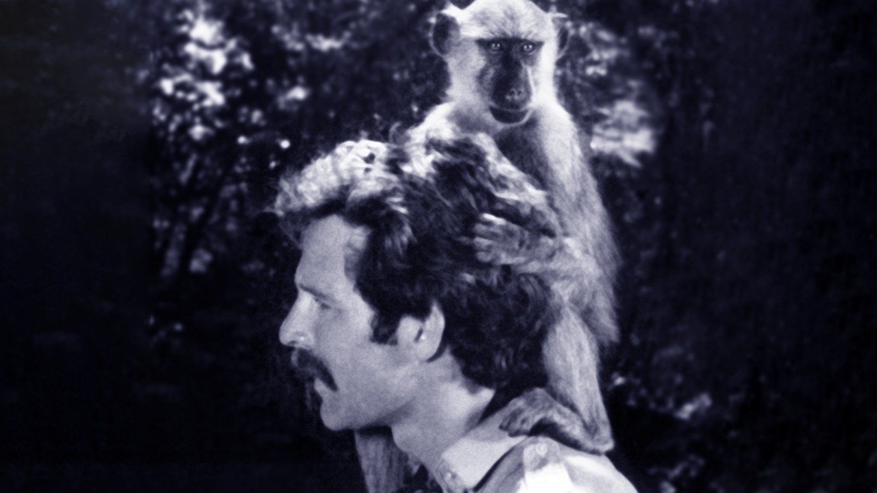 In the Shadow of Kilimanjaro (1986)