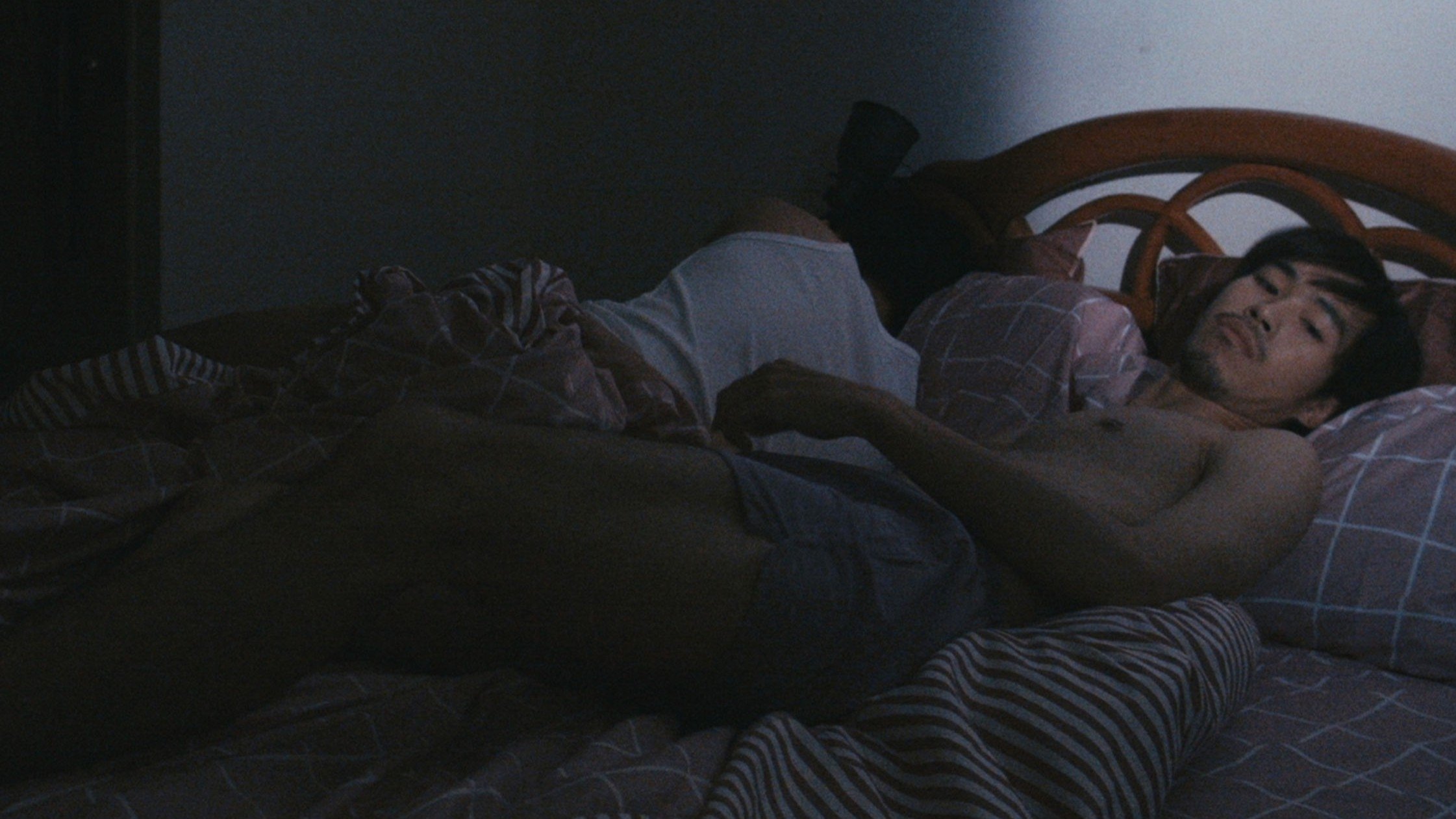 A Cohabitation (2019)