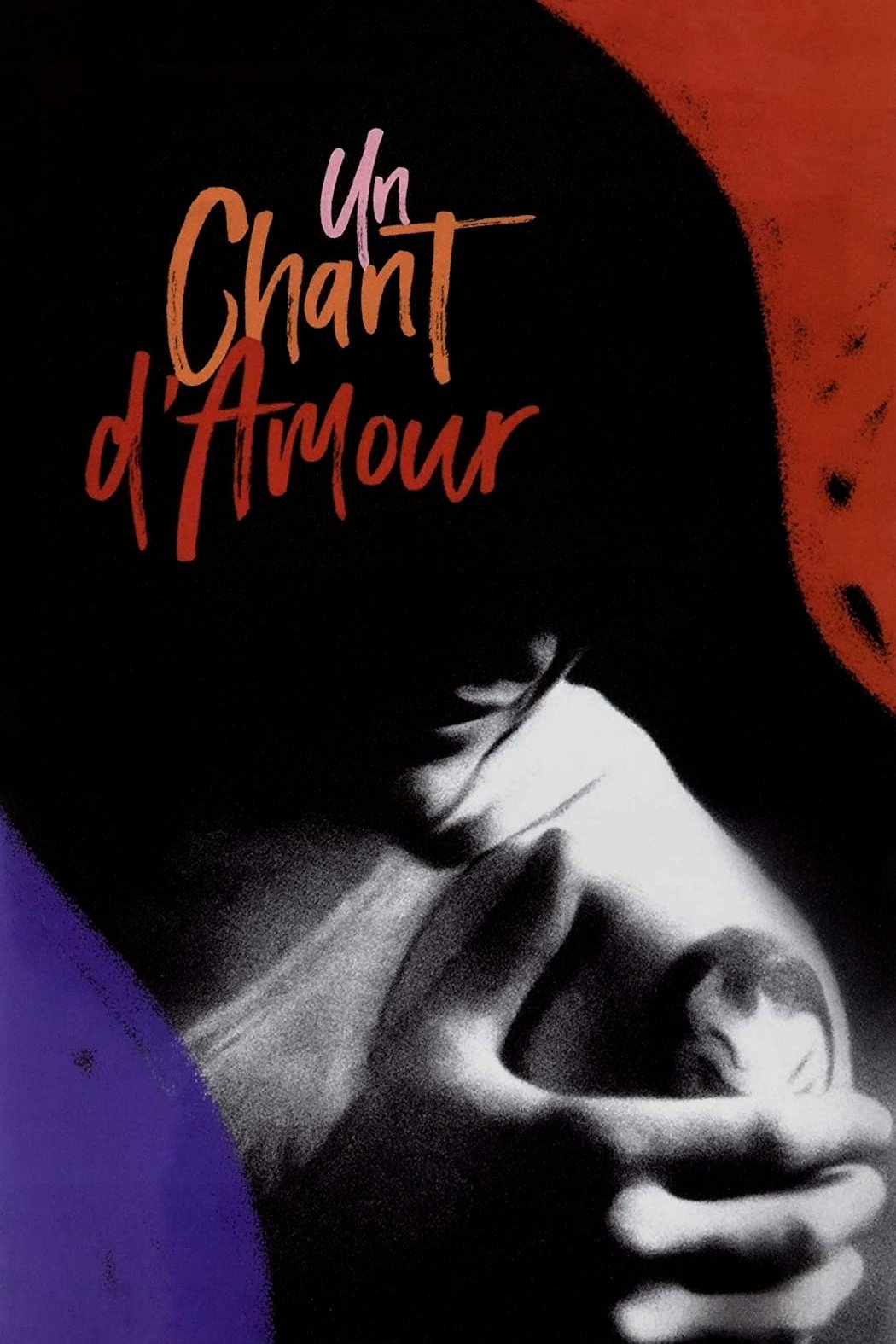 Affiche du film Un chant d’amour 26021