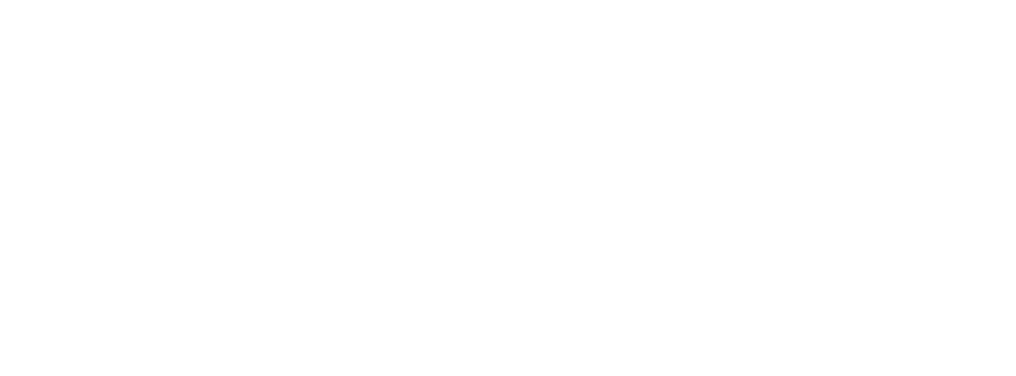 The Perfect Patient Logo