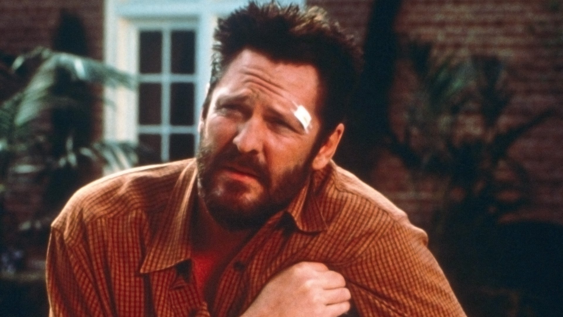 The Stray (2000)