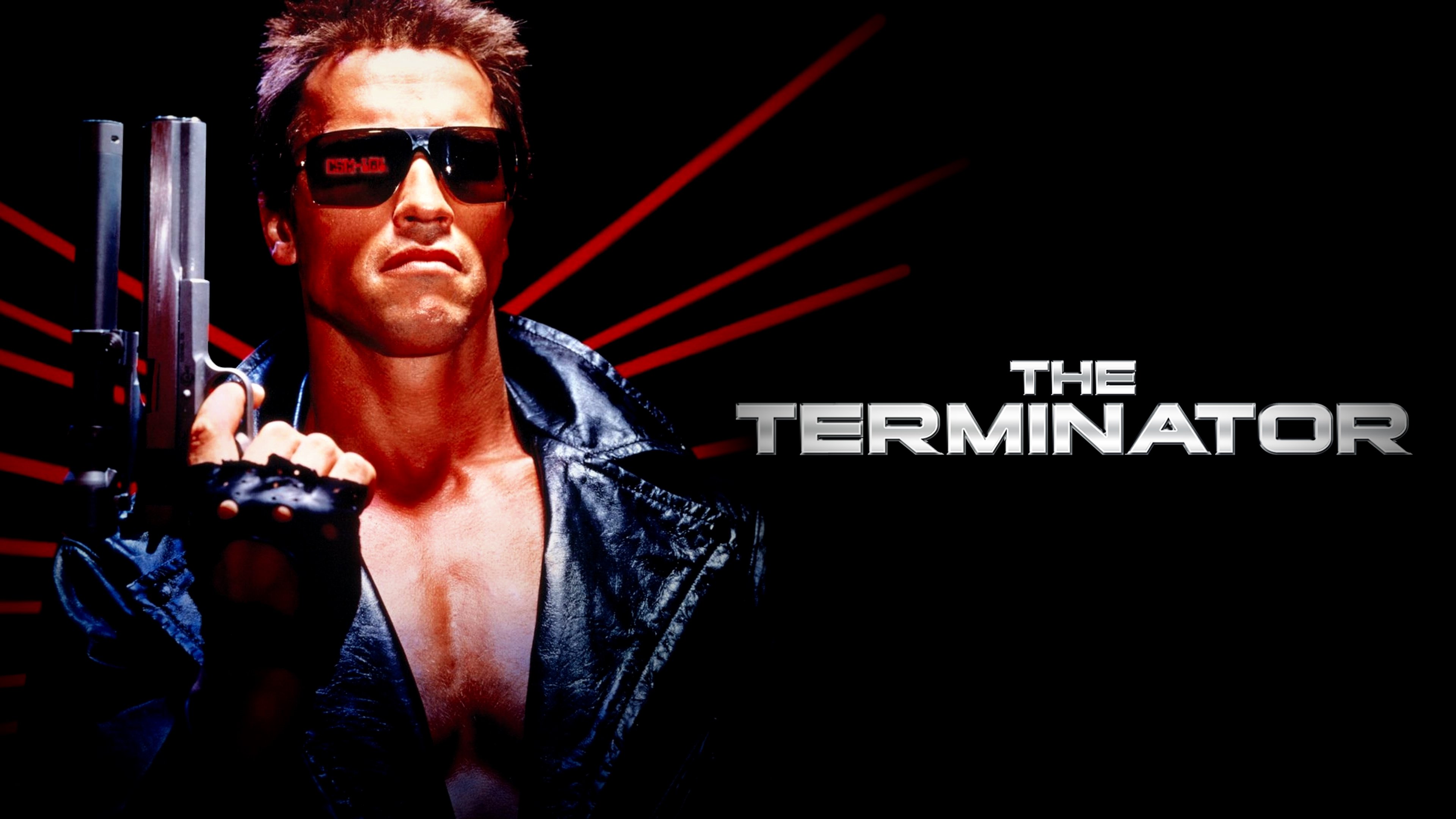 Terminator – tuhoaja