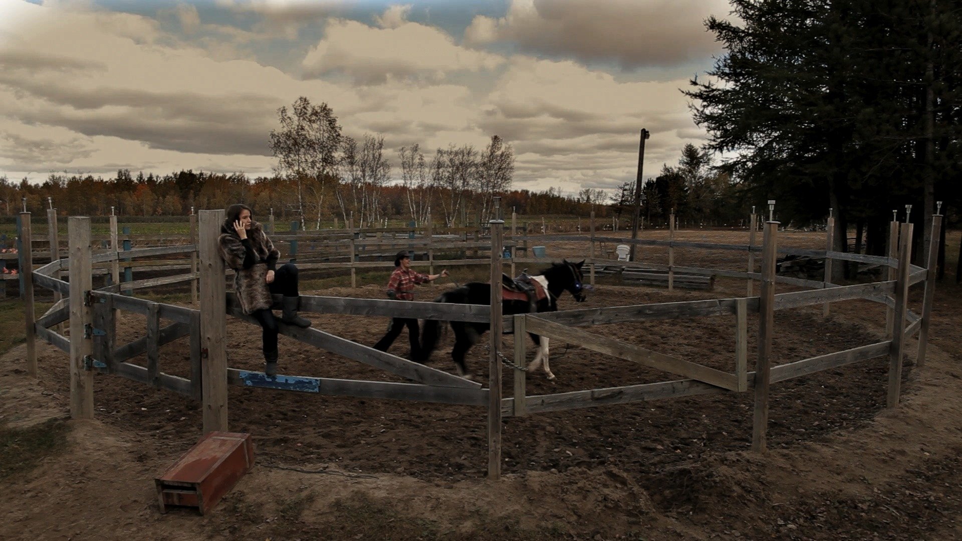 Cheval (2014)