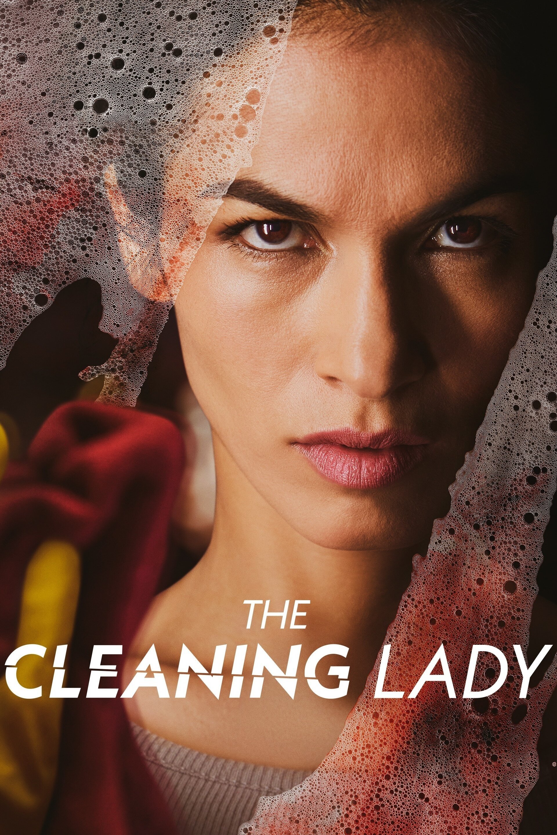 The Cleaning Lady 2022 Dafunda Wiki
