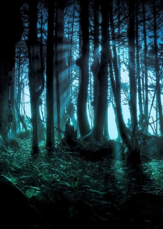 These Woods Are Haunted - Season 3