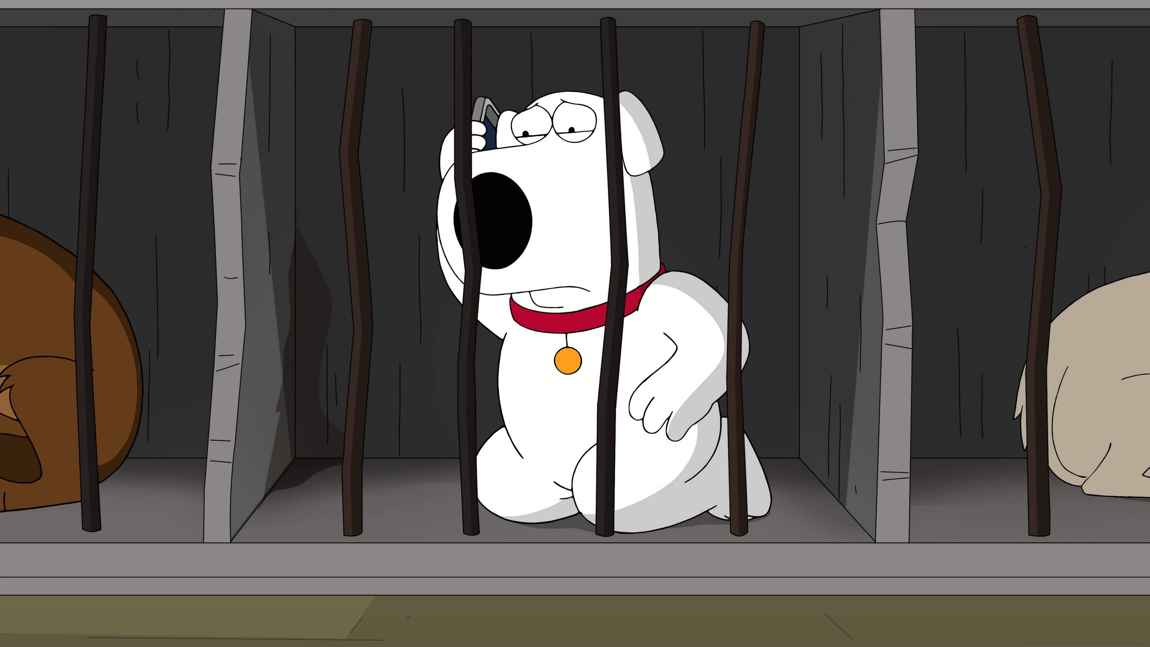 Family Guy Season 16 :Episode 15  The Woof of Wall Street
