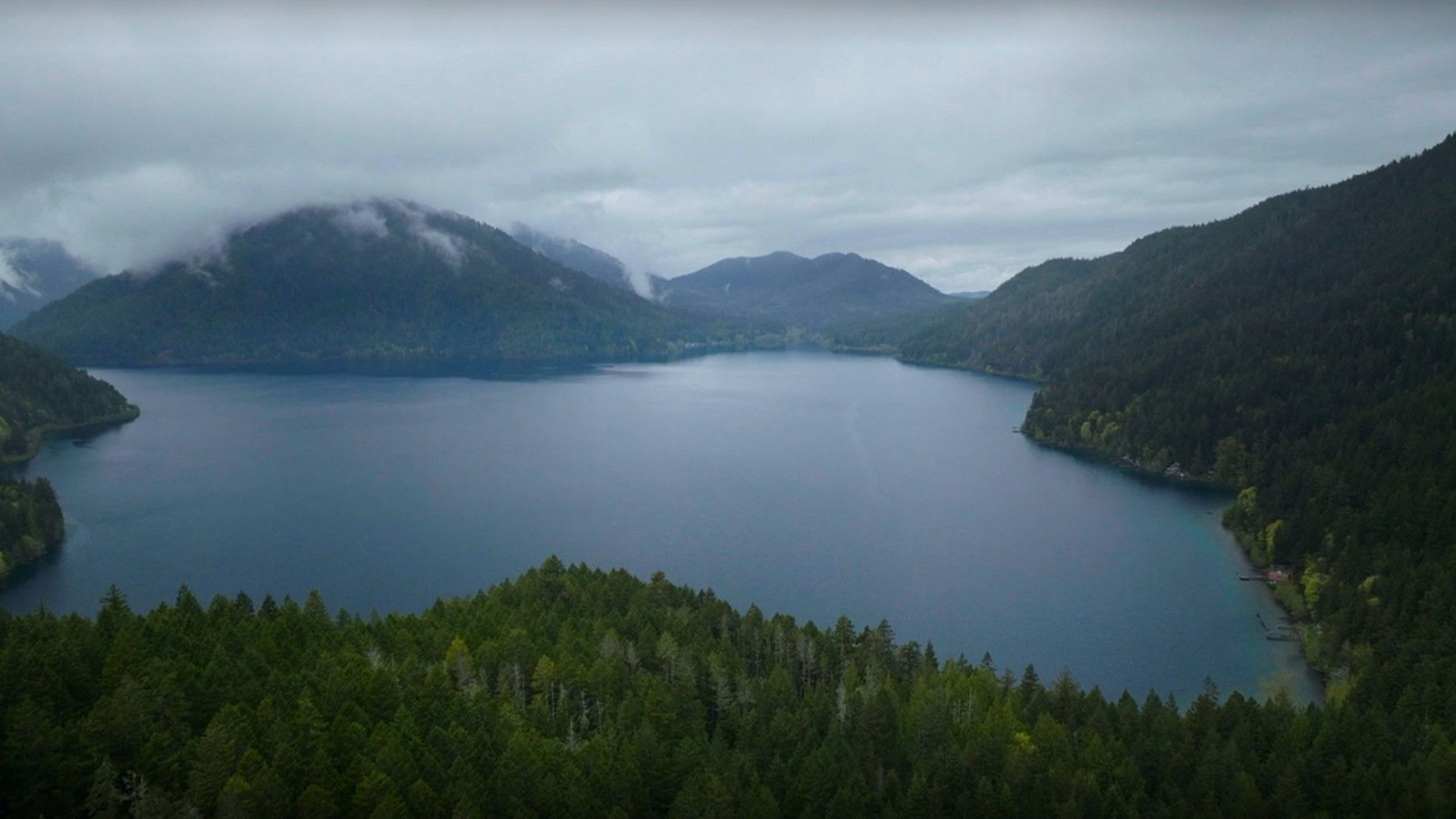 Wild Crime S03E04 backdrop