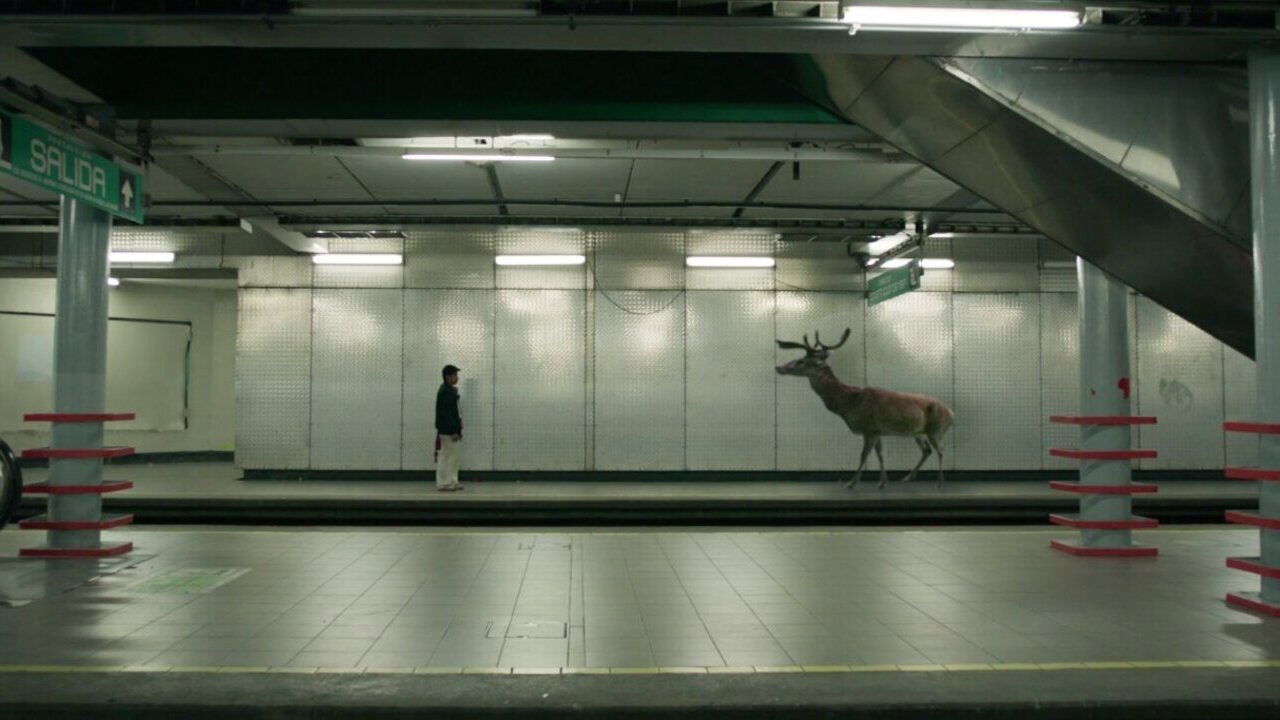 El sueño del Mara'akame (2016)