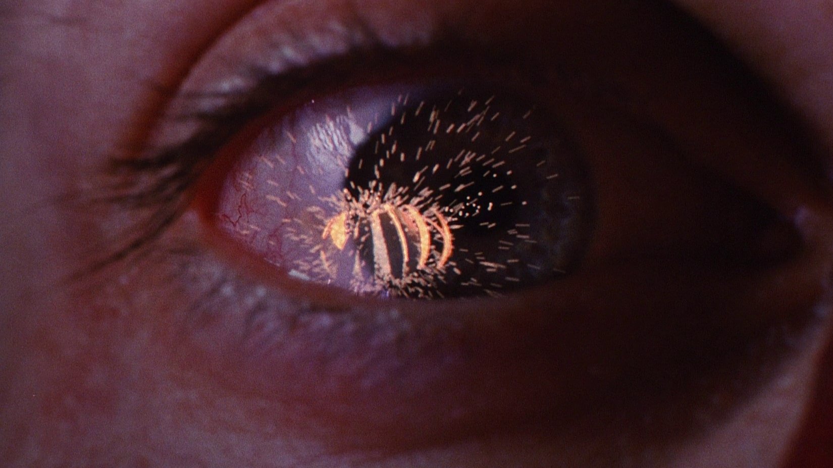 스파이더맨 (2002)