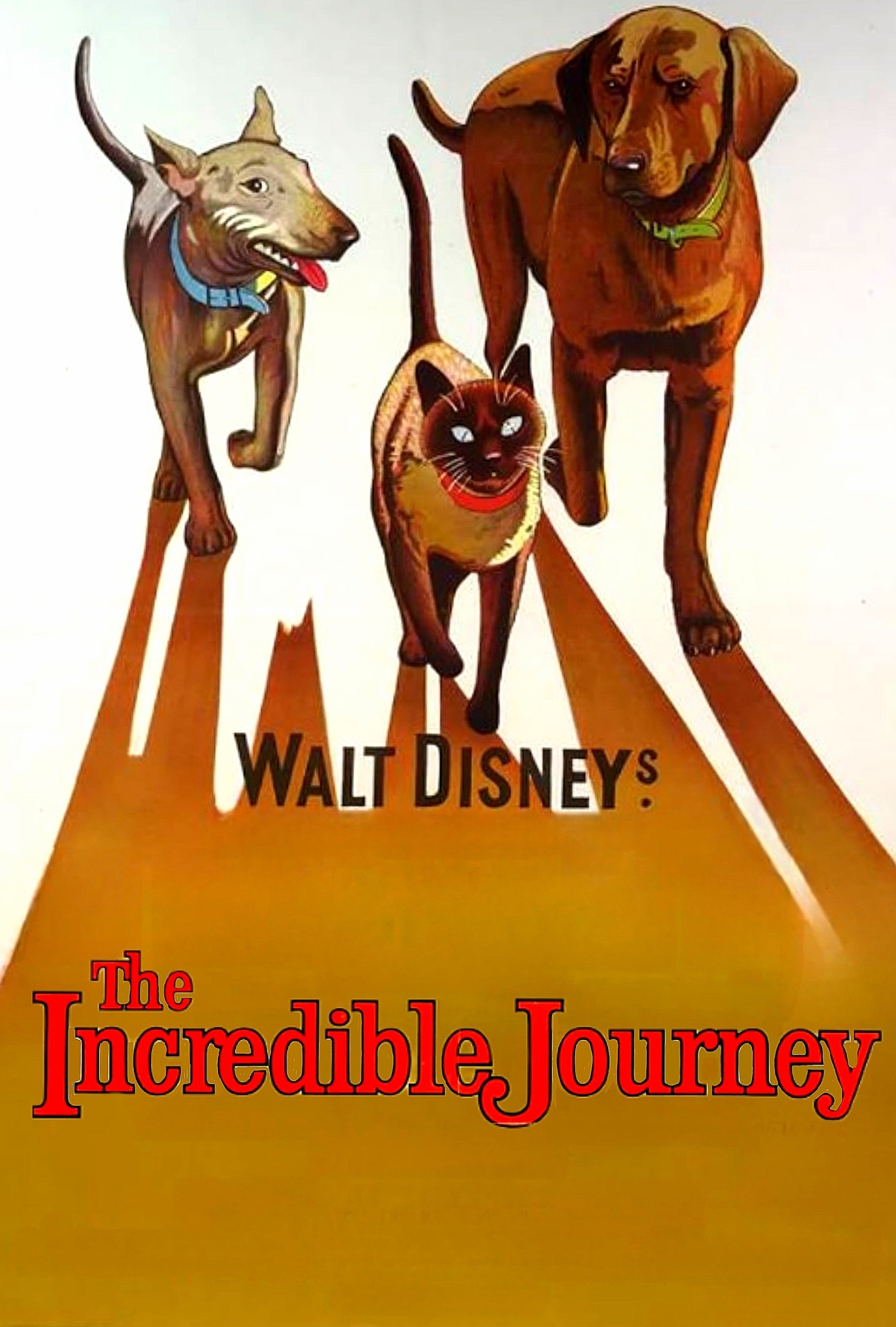 The Incredible Journey