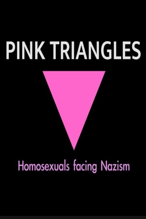 Pink Triangles, Homosexuals Facing Nazism