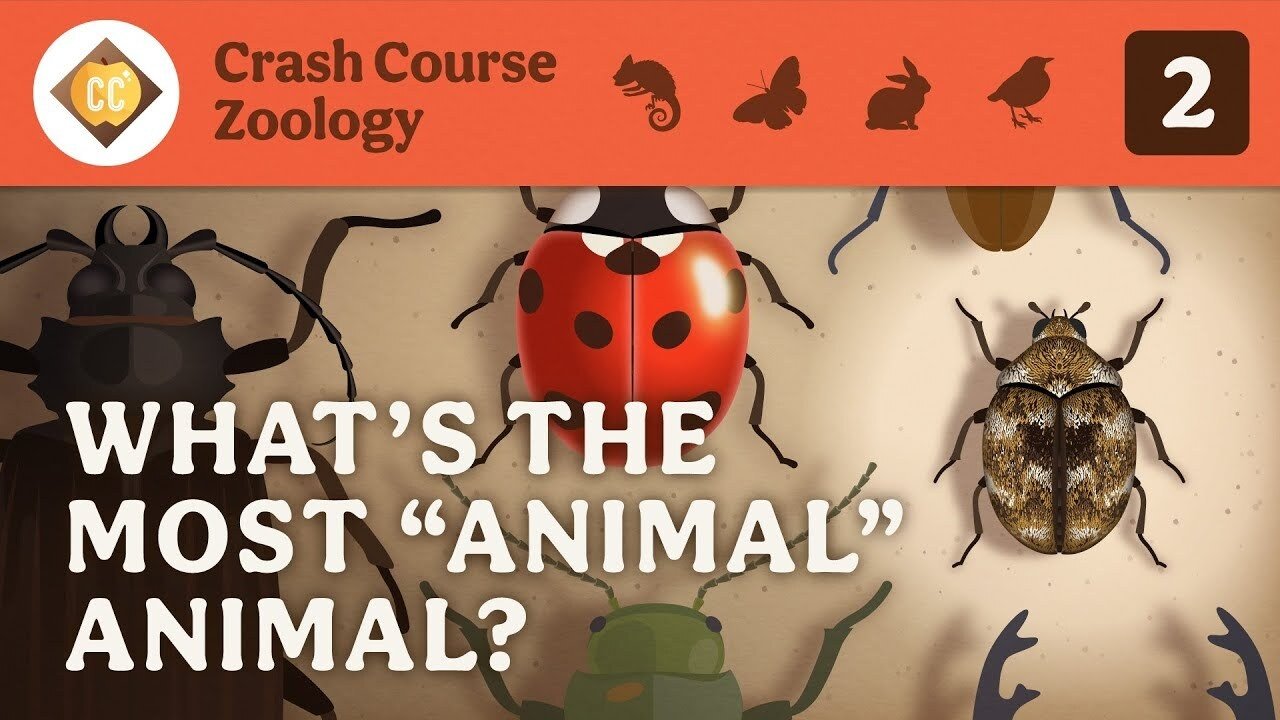 Thumbnail for What’s the Most “Animal” Animal? Season 1 Episode 2
