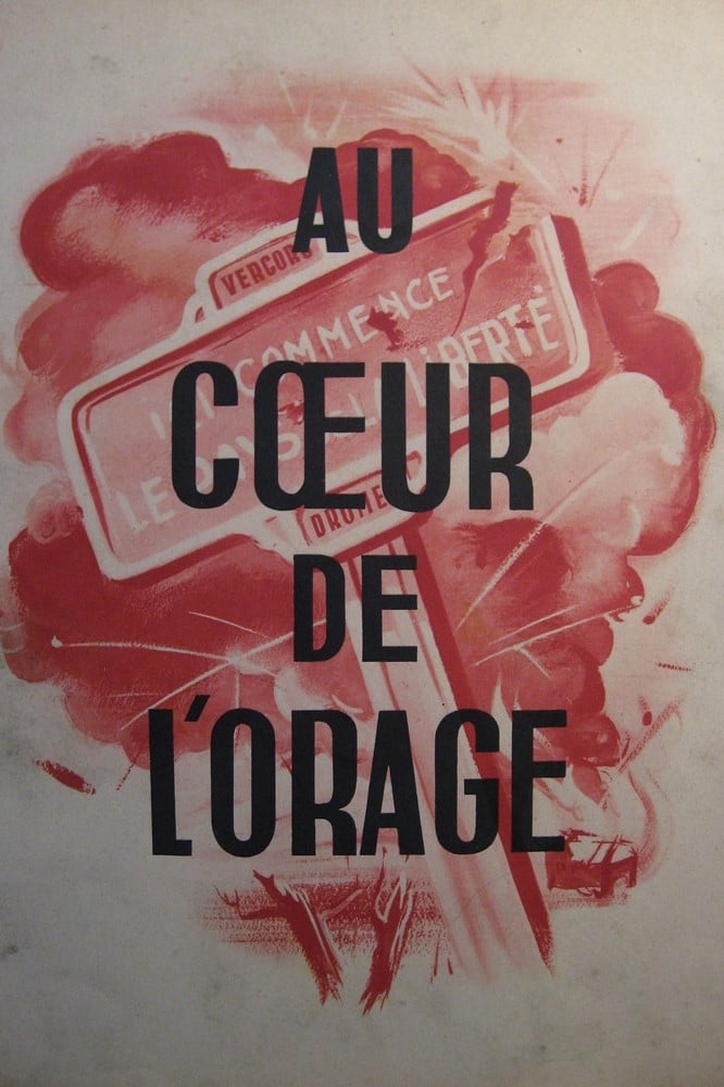 Affiche du film Au coeur de l'orage 142249