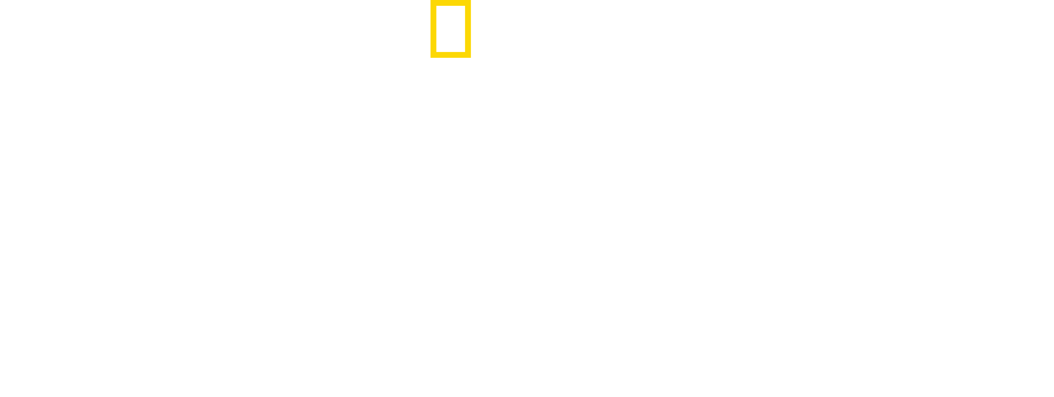 Earth Moods Logo