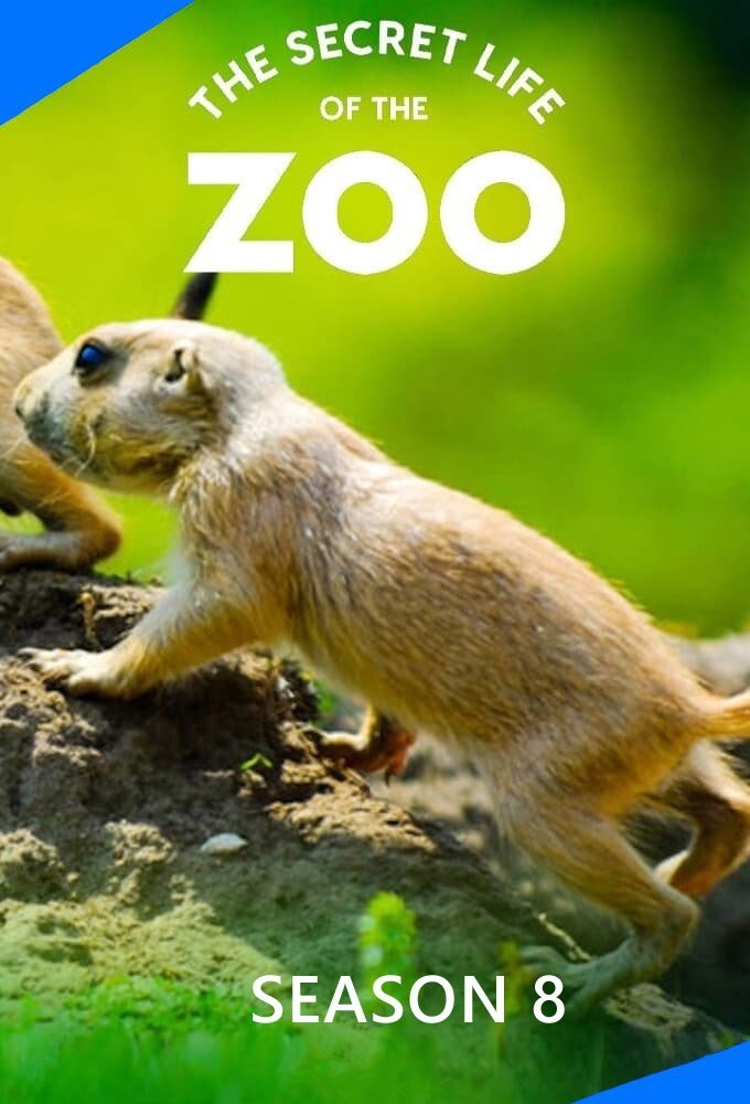 The Secret Life of the Zoo - Season 8