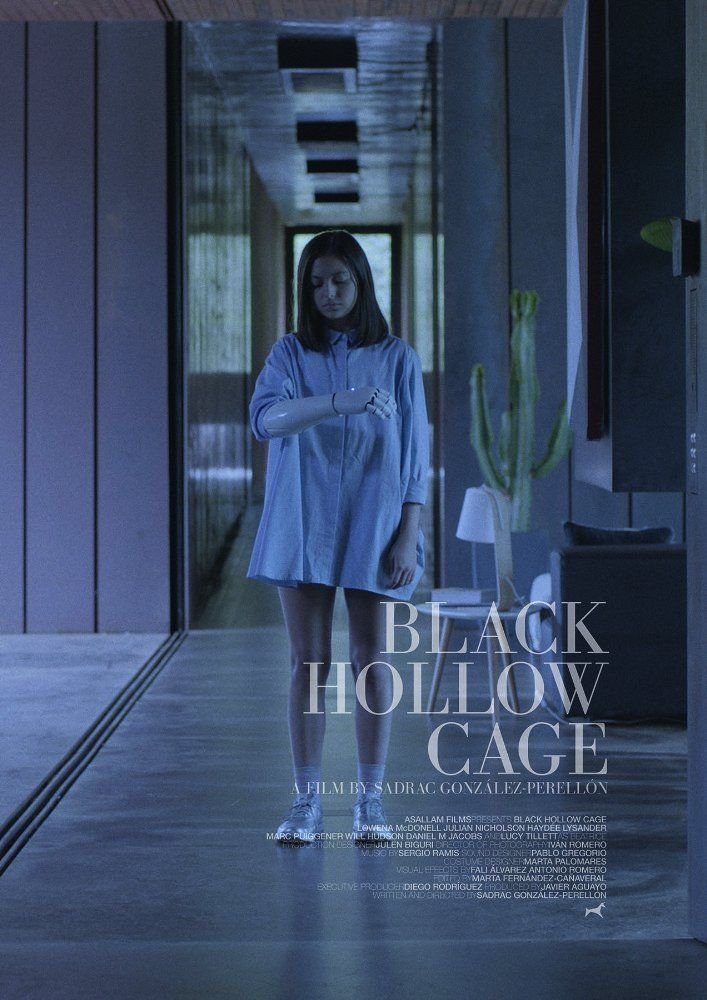 Black Hollow Cage