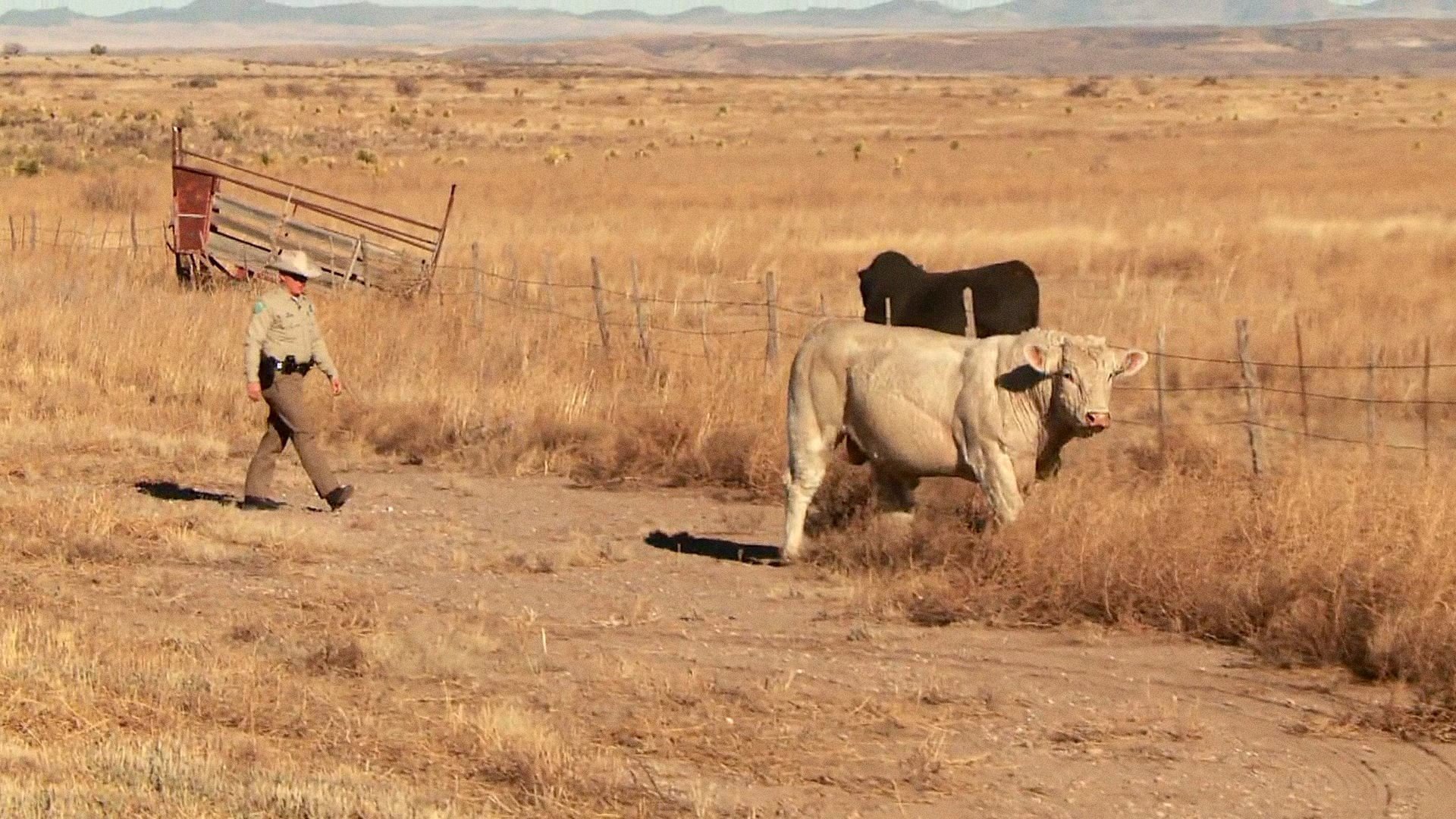 Lone Star Law season 2 episode 10 2017 Soap2day.To