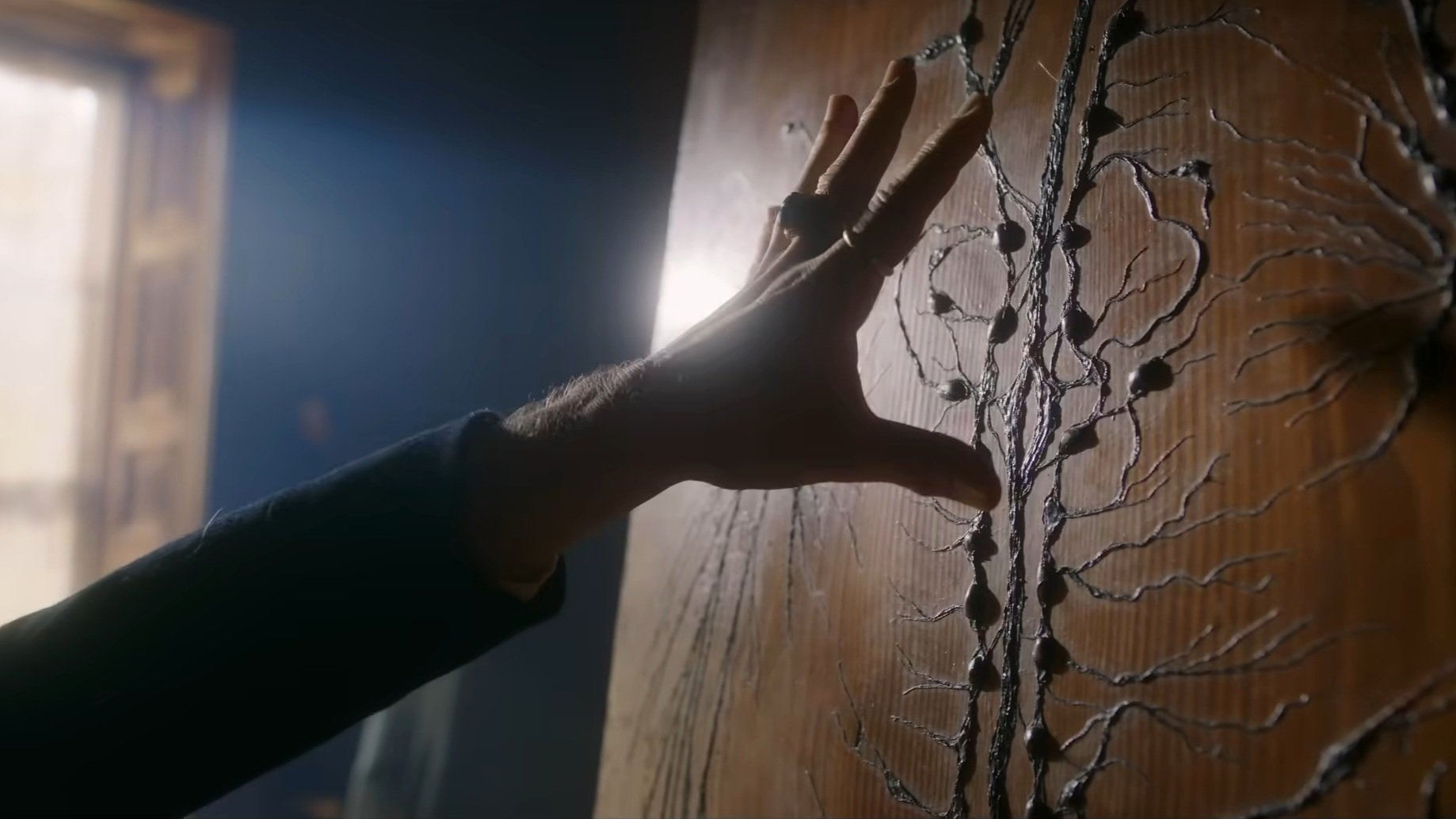 Caption: a person's hand reaching out of a wooden door