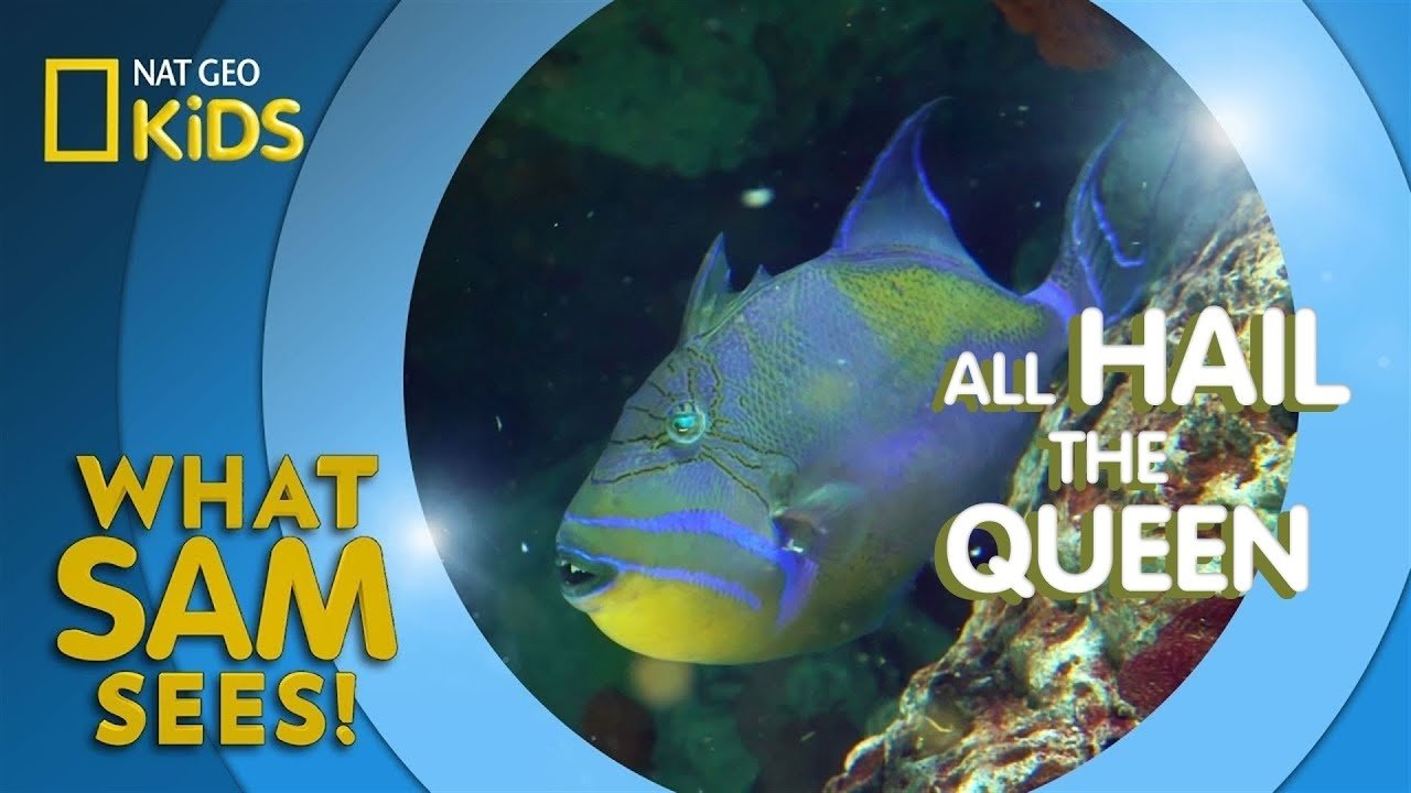 Thumbnail for All Hail The Queen Season 1 Episode 3