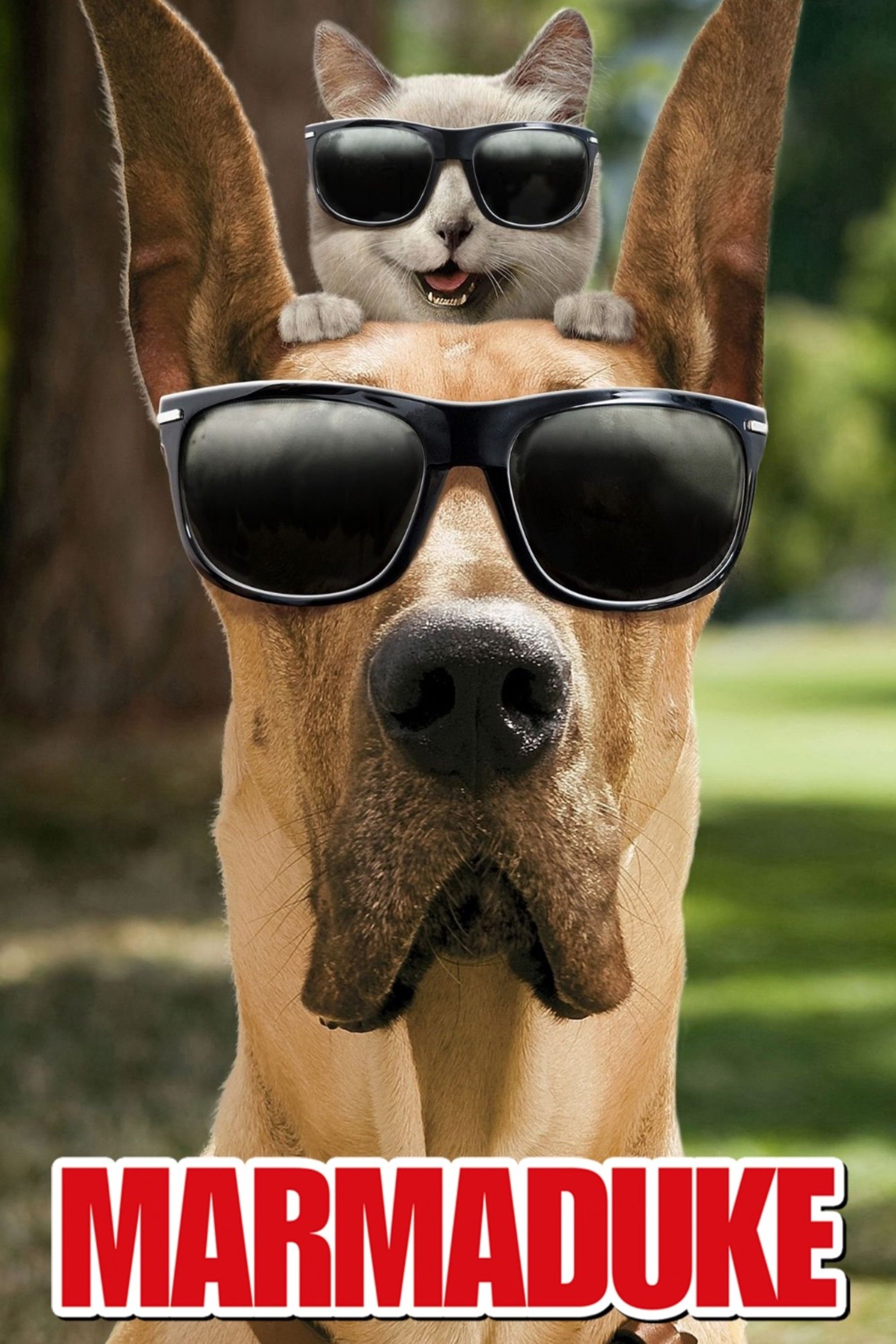 Marmaduke