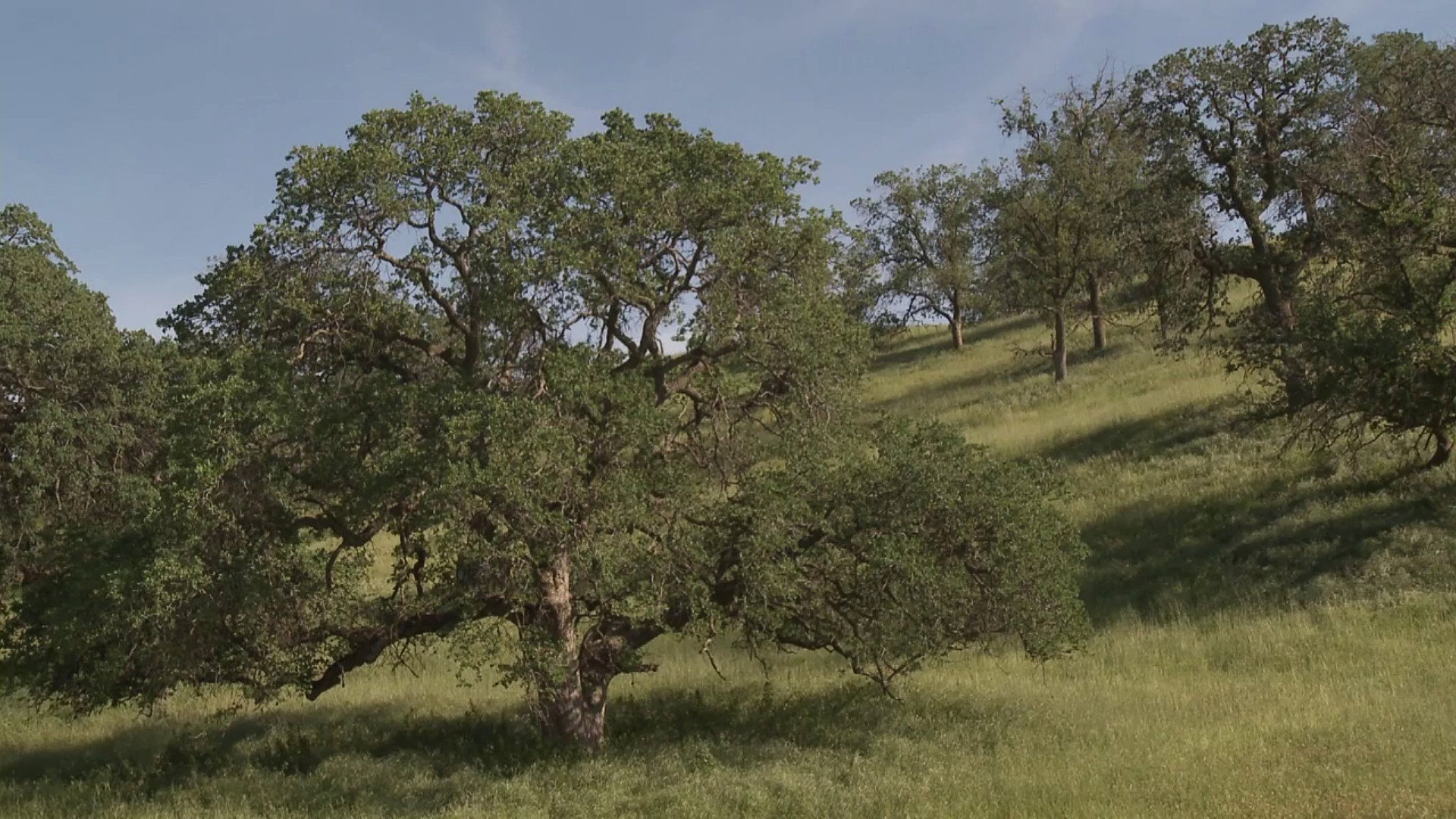 Imagem do Filme Spring Equinox