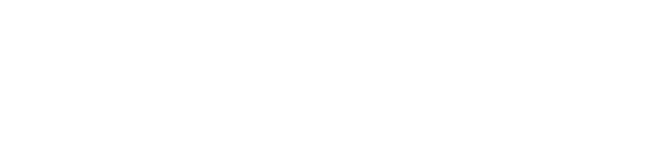 Fireworks Logo