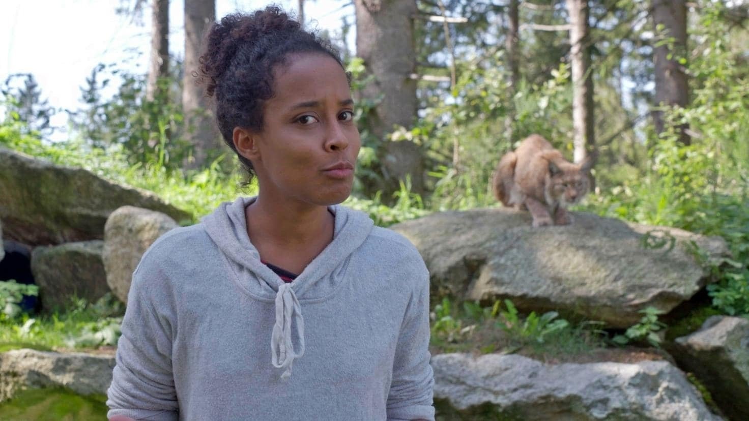 Pia und die wilden Tiere