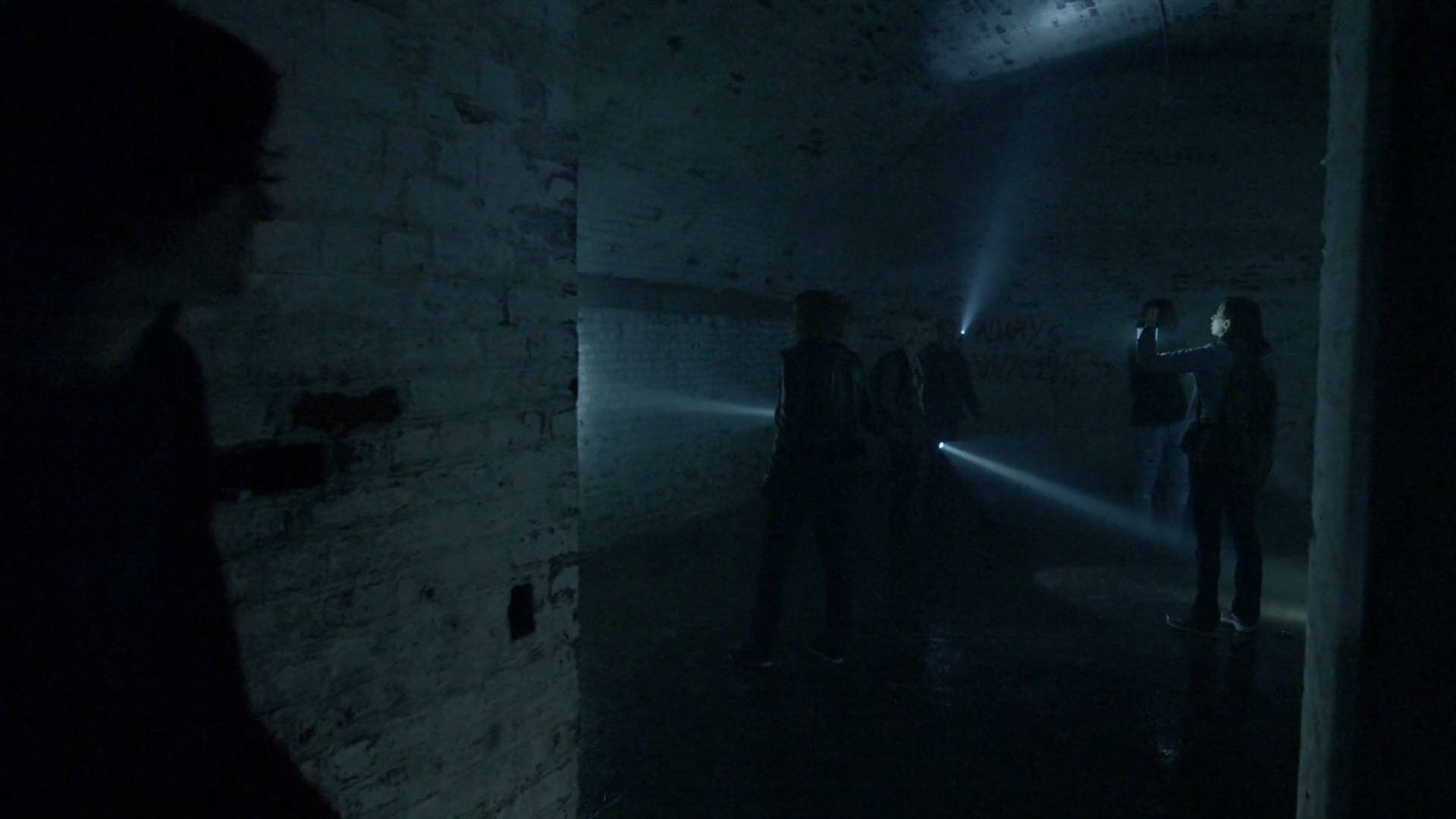 Terror in the Woods
