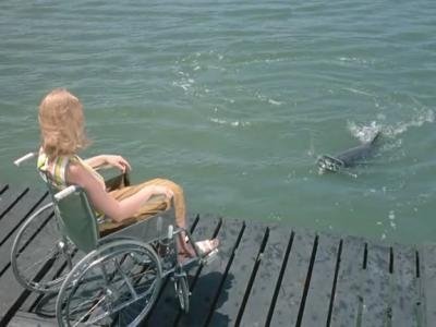 Flipper le dauphin - Pour la deuxième fois