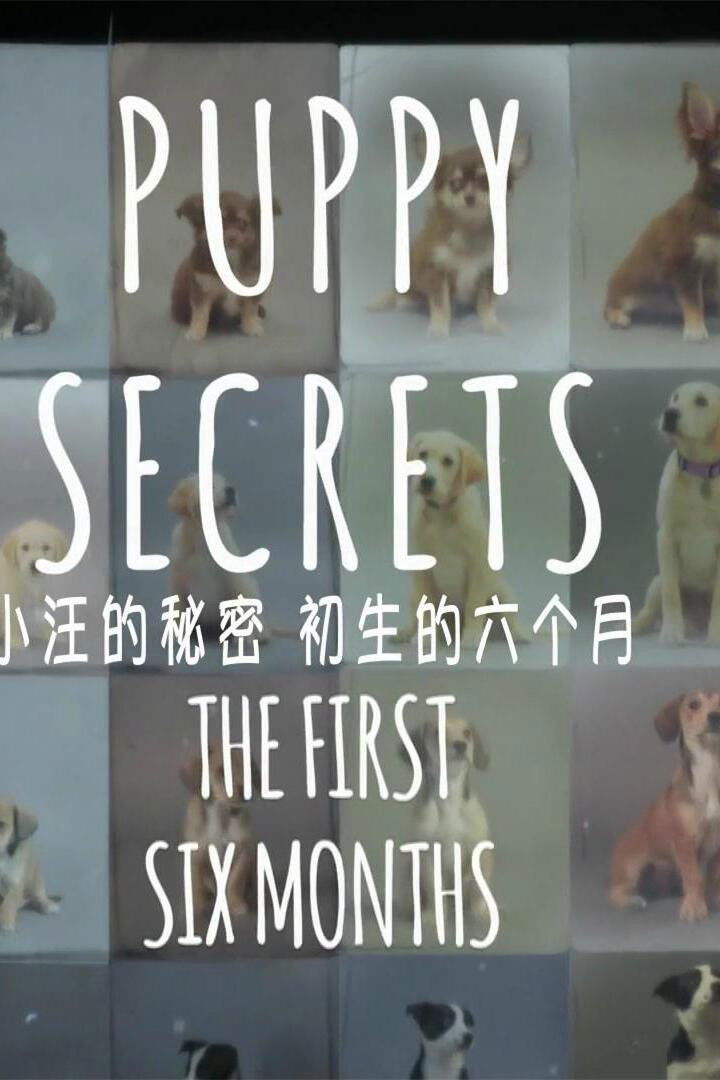 Puppy Secrets: The First Six Months Poster