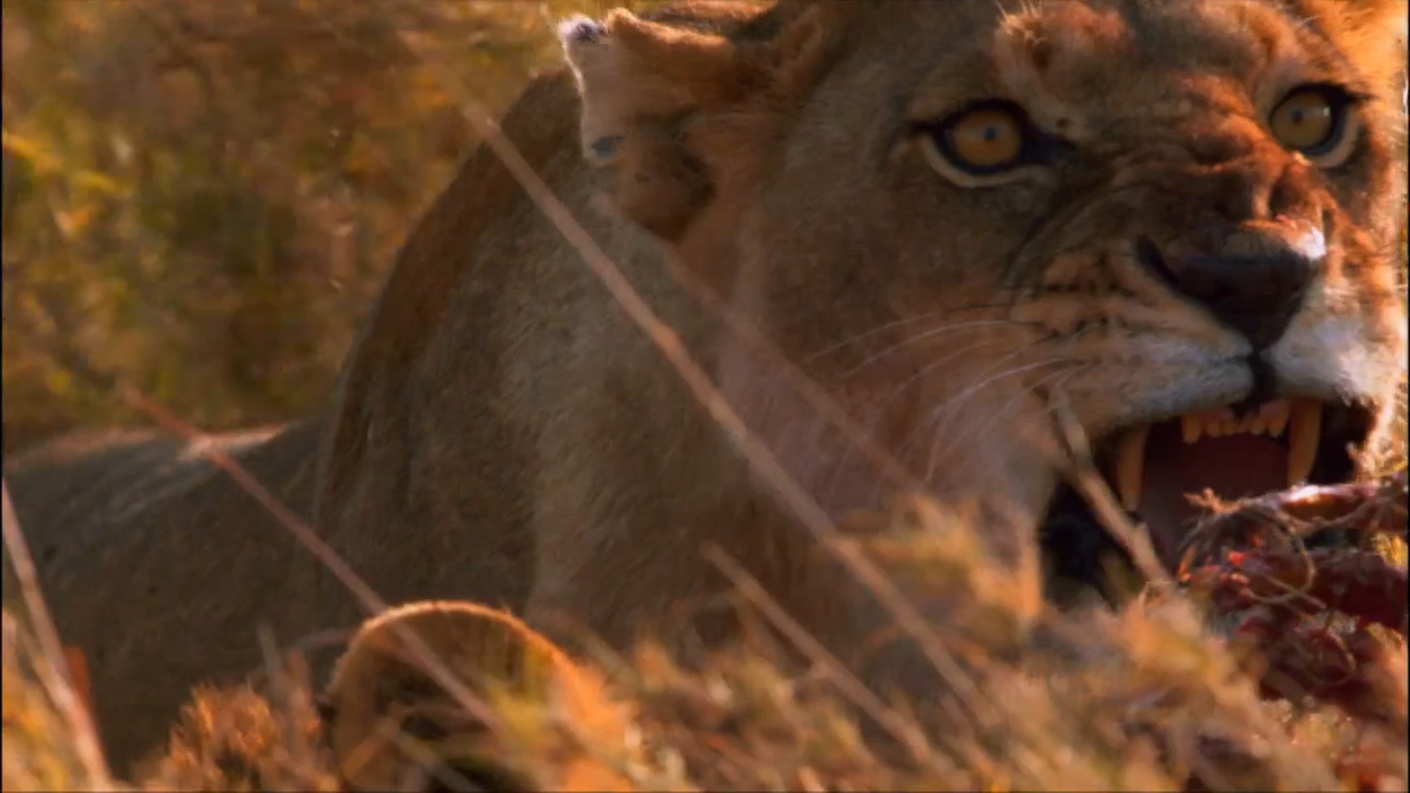 Superpride (2008)