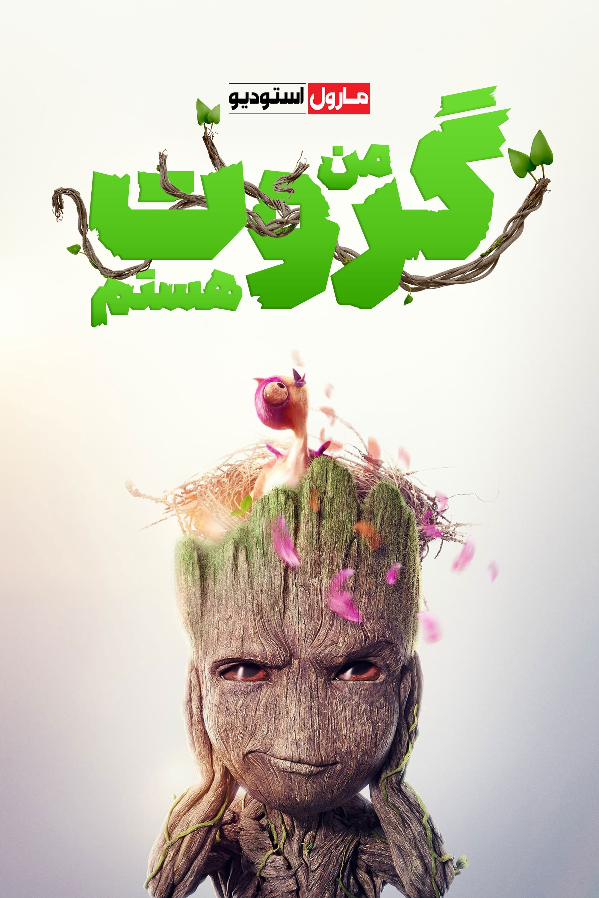 من گروت هستم
