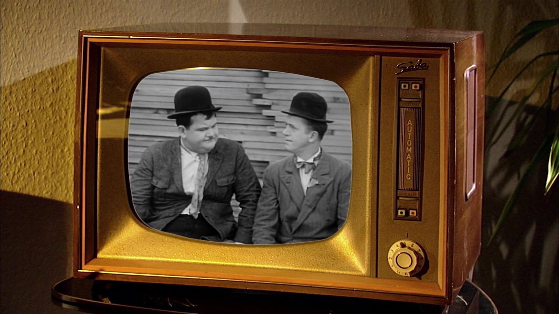 Laurel & Hardy: Their Lives and Magic (2011)