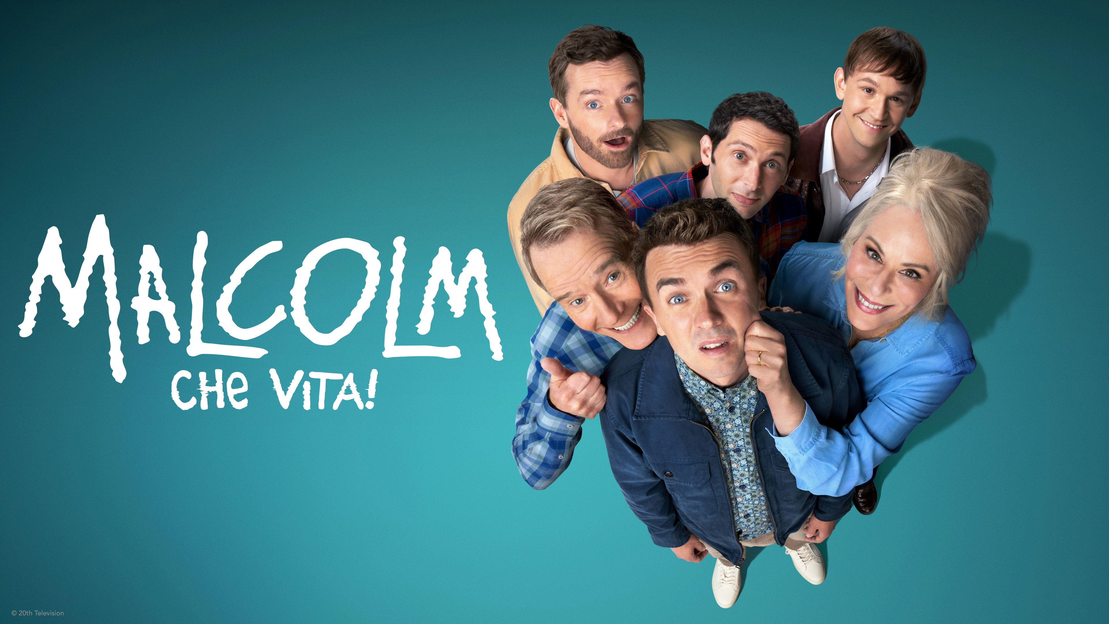 Malcolm in the Middle: Life's Still Unfair - Miniseries