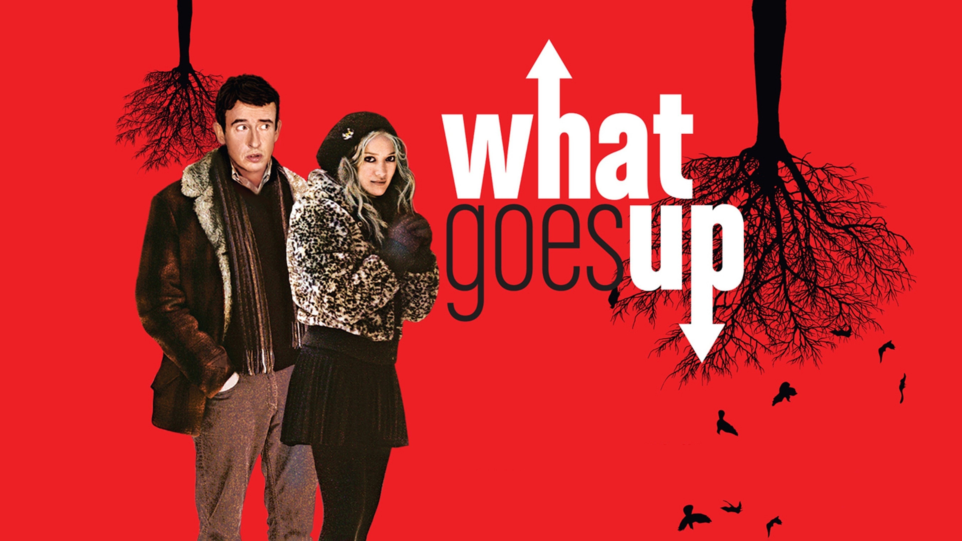 What Goes Up (2009)