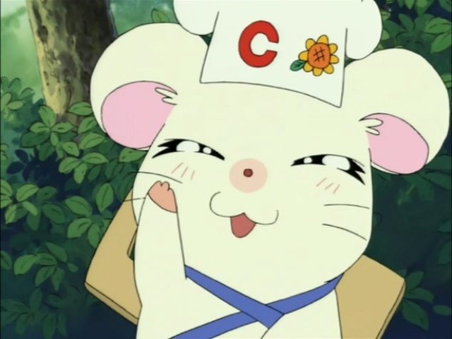 Hamtaro