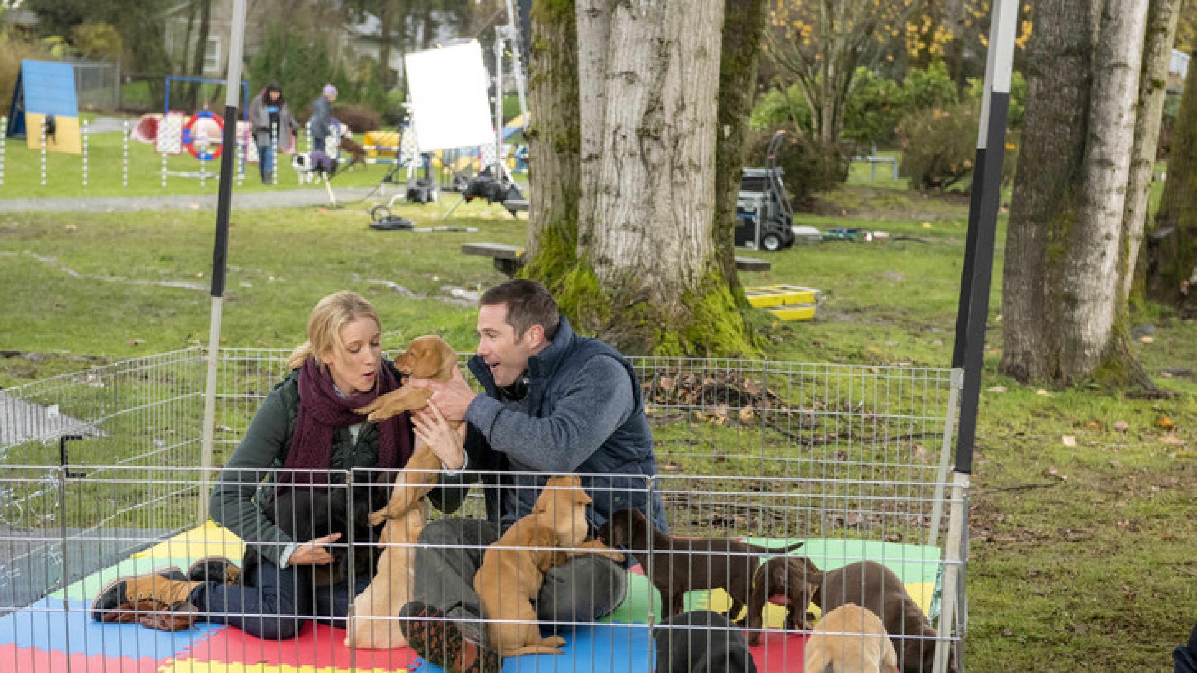 The Birthday Wish (2017) AZ Movies