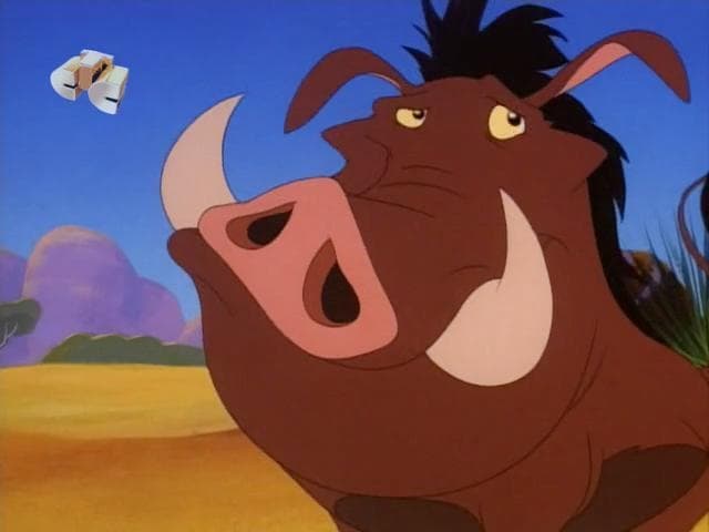 Timon and Pumbaa