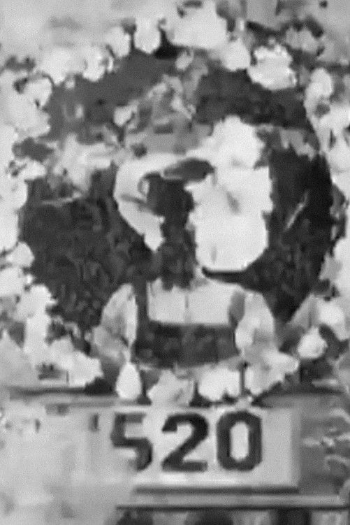 Les Malheurs d'Émile Cohl Poster