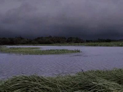 Swamp People