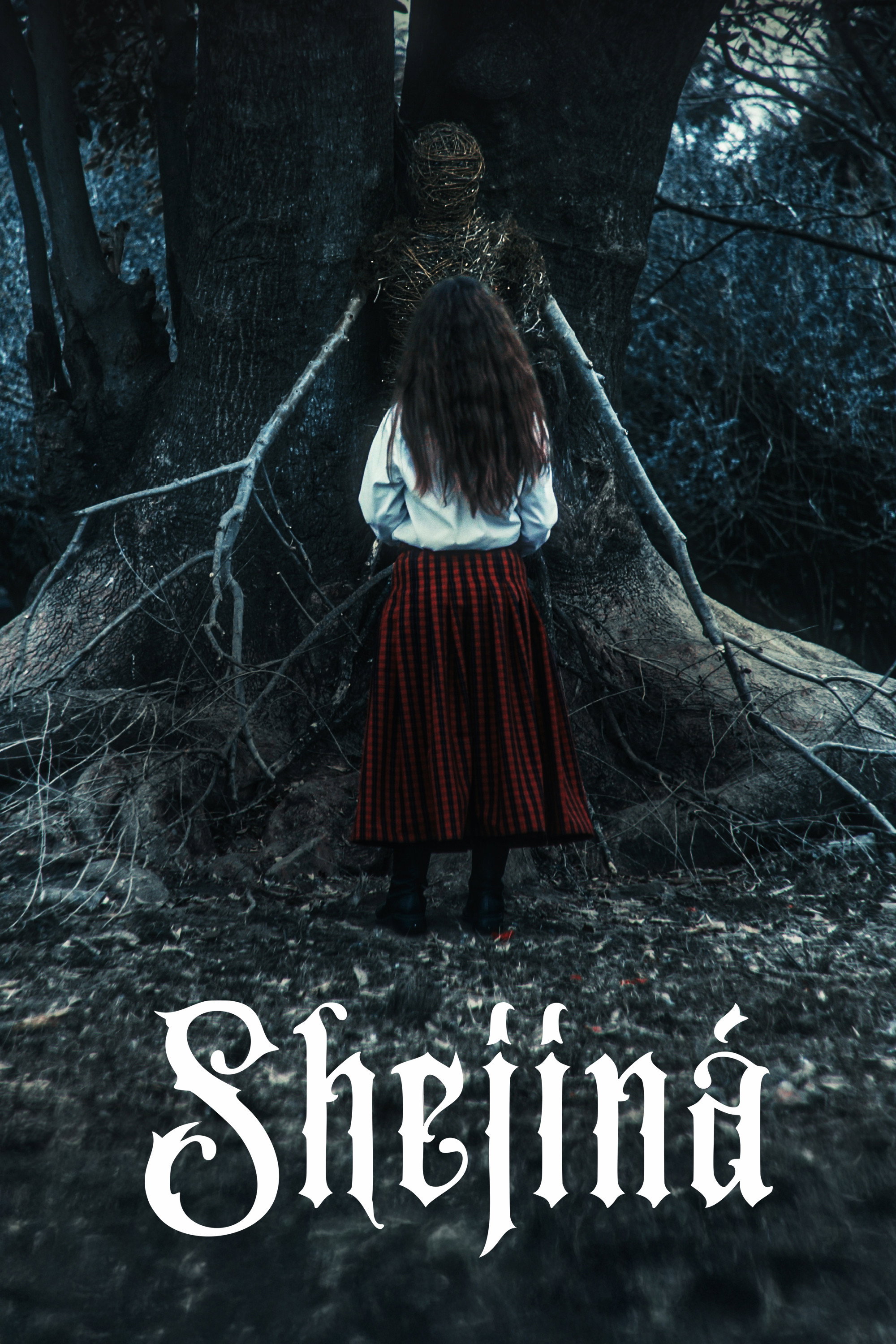 Shejin&aacute;