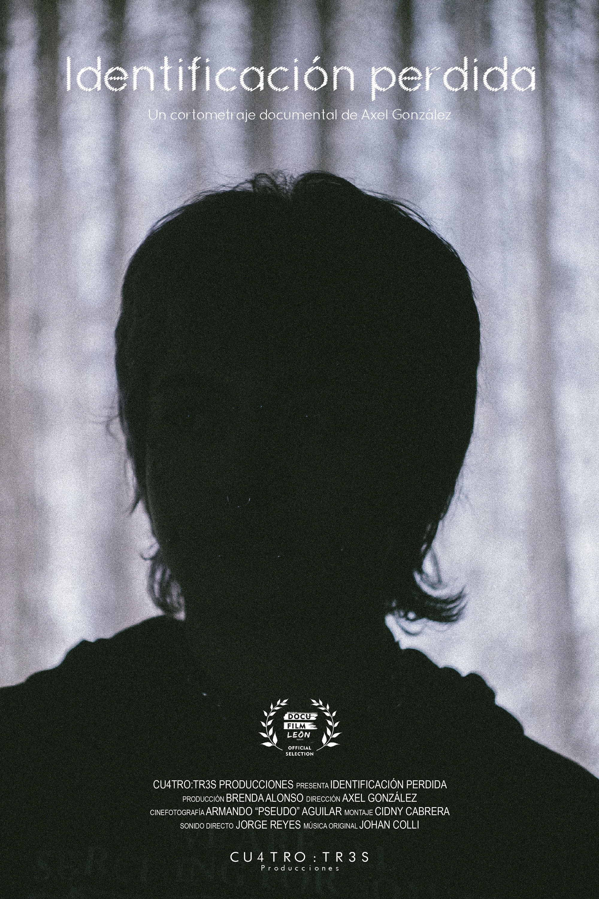 Identificación Perdida